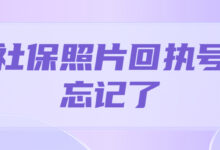 社保照片回执号忘记了-社保照片回执