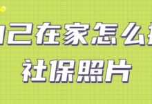 自己在家怎么拍社保照片-社保照片回执
