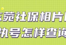东菀社保相片回执号怎样查询-社保照片回执