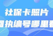 社保卡照片回执编号哪里看-社保照片回执
