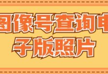 图像号查询电子版照片-社保照片回执