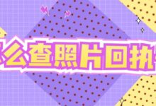 怎么查照片回执号-社保照片回执