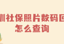 深圳社保照片数码回执怎么查询-社保照片回执