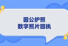 因公护照数字照片回执-社保照片回执