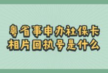 粤省事申办社保卡相片回执号是什么？-社保照片回执